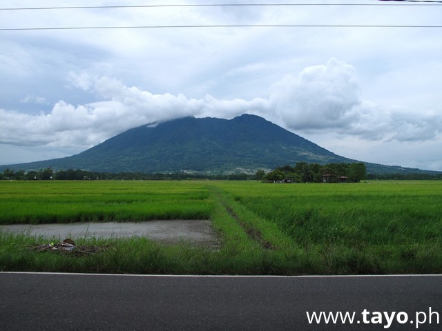 Bundok Arayat